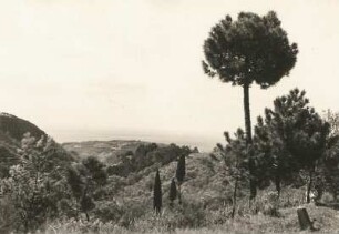 Riviera. Landschaft oberhalb von Bordighera