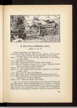 8. Die Narew-Offensive 1915