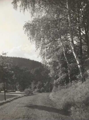 Vogtland, Triebtal. Feldweg nahe Jocketa nördlich von Plauen