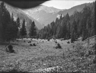 Wald im Tal : Blick in ein bewaldetes Bergtal