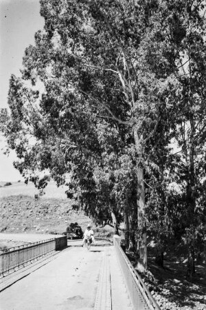 Brücke über das Soumman-Tal : Ein Mann reitet auf einem Muli über eine Brücke im Soummam-Tal nahe Sidi Aich.