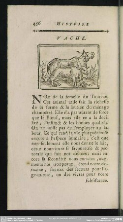 Vache