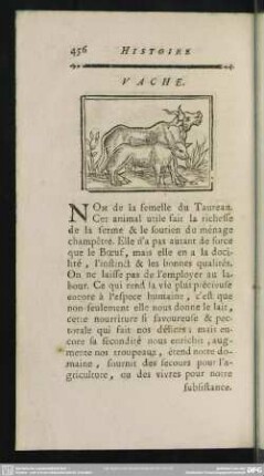 Vache