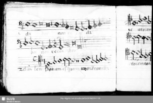 Wolfgang Figulus: Bonum est homini uxorem non tangere