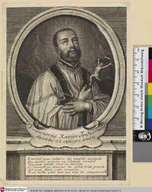 Stu. Franciscus Xavier Indiarum