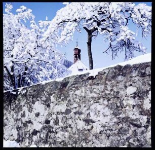 Oberried: schneebedecktes Bäumchen an Klostermauer