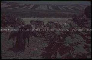 Getarnte rumänische Panzer mit Panzerfahrer vor Chisinau
