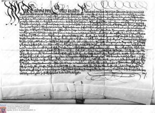 Kurfürst Ludwig von der Pfalz belehnt unseren lieben Getreuen Wolff Wambold v. Umstadt mit zwei fuldischen Burglehen und Oppenheimer Burglehen