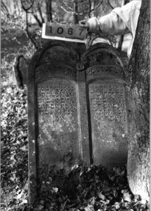 Grabstein 1067 (Index: 99753341) Material: Sandstein Zustand: leicht verwittert Maße HxBxT: 119x82x13 cm Beschreibung: Doppelstele, zwei Schriftfelder eingetieft Symbolik: Voluten, Mittelakroter, Scheibe: Grabstein 1067