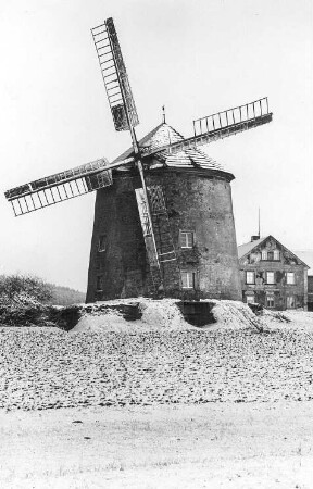 Haselbachtal-Möhrsdorf. Turmholländer