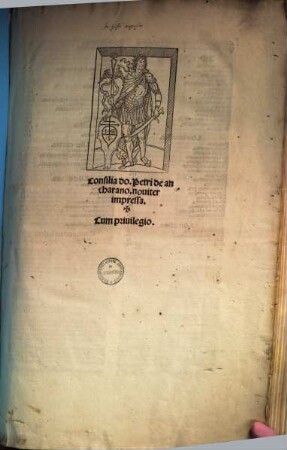 Consilia : [rubrice iuxta ordinem decretalium, sub quibus convenienter collocari possunt consilia ...]