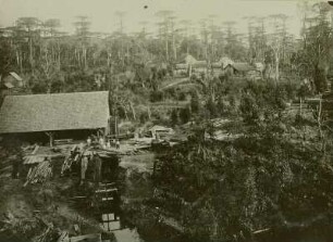 Brasilien, Parana, Santa Catarina, Schneidemühle