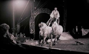 Circus Krone, Hannover, 1982