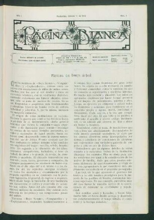 Ramas de buen árbol