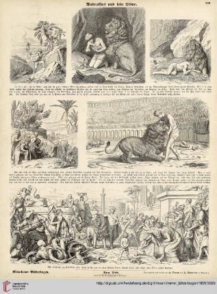 Nro. 288