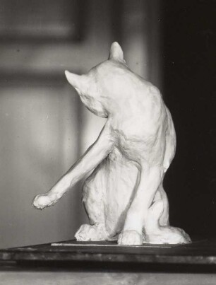 Katze, sich putzend