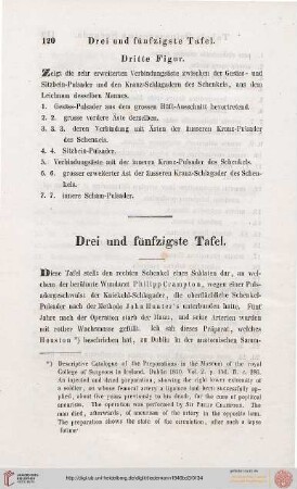 Drei und fünfzigste Tafel / Tabula Quinquagesima Tertia