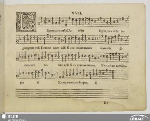 XVII. Legem pone mihi Domine