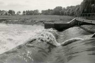 Wehr Großzschocher (Schönen), 18. Juli, 1 Woche nach Höchststand, Hochwasser Juli 1954