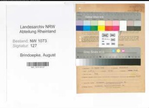 Entnazifizierung August Brindoepke , geb. 09.08.1902 (Isolierer)