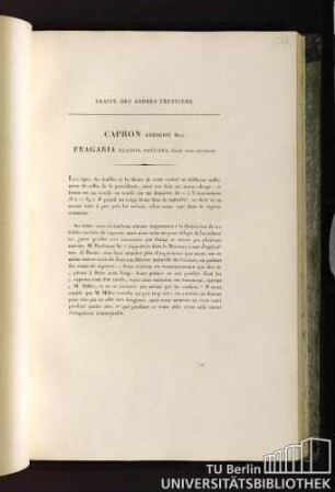 Capron abricot. Duh. Fragaria elatior, rotunda, fructu ovato-subrotundo.