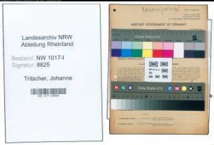 Entnazifizierung Johanne Tritscher , geb. 06.08.1896 (Friedhofsgaertnerin)