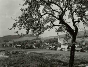 Cunewalde