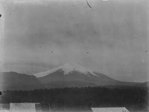 Vulkan : Der Vulkan Villarrica erhebt sich im Hintergrund. Im Vordergrund befindet sich ein Wald