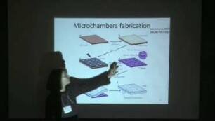 Quantitative evaluation of feedback mechanisms between cell shape and cytoskeleton organization