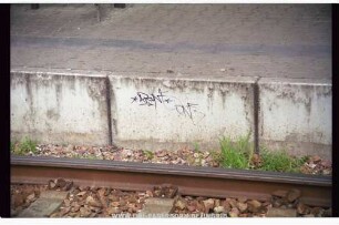 *DANE* ONE