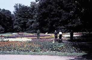 Dresden. Großer Garten. Sommerblumengarten