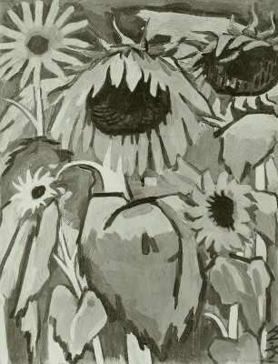 Sonnenrosen