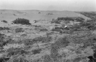 Feldarbeit : Person in einer Landschaft bei der Feldarbeit