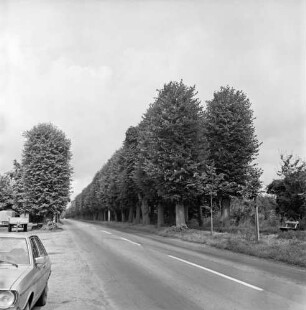 Allee: vorn Straße Richtung Bargfeld-Stegen: rechts Bank: vorn links Pkw: dahinter Anhänger