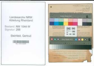 Entnazifizierung Gertrud Steinfeld , geb. 14.07.1913 ()