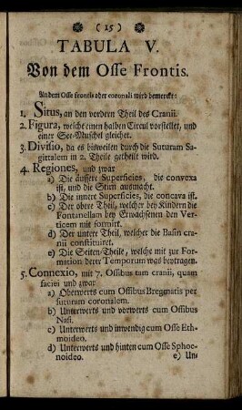 Tabula V. Von dem Osse Frontis.
