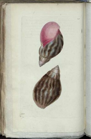 [Abb. 248]