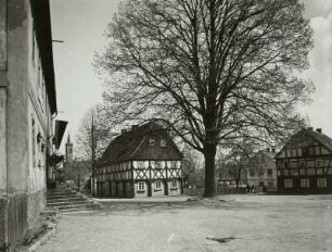 Dittelsdorf : Dittelsdorf. Am Angel mit Linde