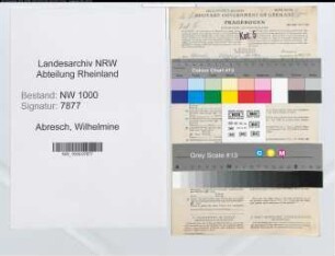 Entnazifizierung Wilhelmine Abresch, geb. 10.07.1897 (Zahnarzthelferin)