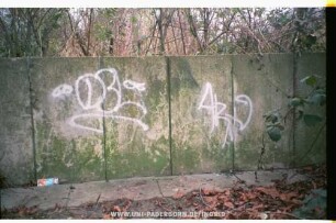 DBL ARt