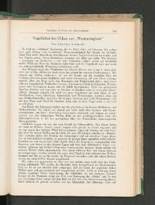 Vogelleben bei Orkan vor "Westerewigkeit"