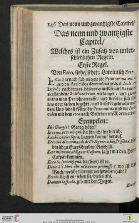 Das neun und zwantzigste Capitel
