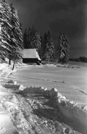 St. Märgen: Weg im Schnee zur Rankmühle