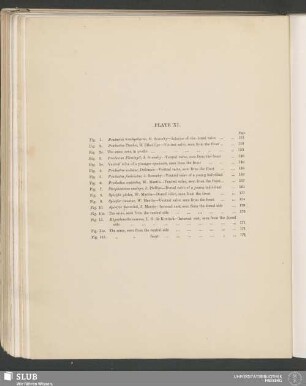 Plate XI