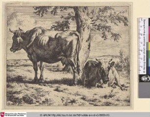 [Zwei Kühe unter einem Baum; Two Cows under a Tree]