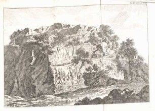 Tom II. Tab. VIII.
