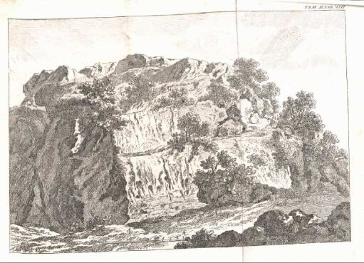 Tom II. Tab. VIII.