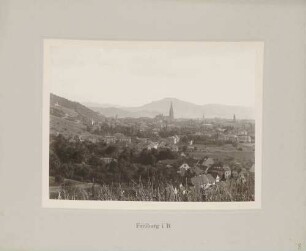 Blick auf Freiburg im Breisgau