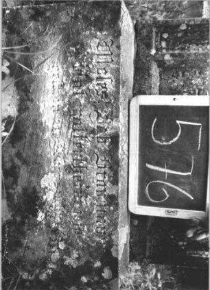 Grabstein 576 (Index: 99895386) Material: Sandstein Zustand: leicht verwittert und bewachsen Maße HxBxT: 137x57x22 cm Beschreibung: Stele mit Rundbogenabschluss, kleiner Verdachung und Mittelakroter; Sockel Symbolik: Kranz mit Bändern: Grabstein 576 (2)
