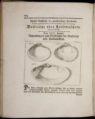 Fünftes Geschlecht der zwoschalichten Conchylien. Backtröge oder Korbmuscheln.